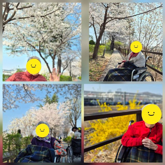 양지요양원 2026-05-11