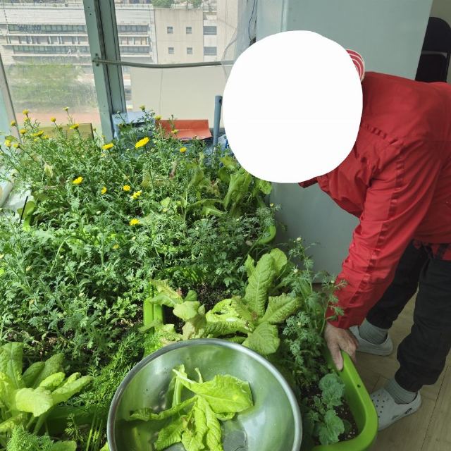 두레데이케어 2026-05-14