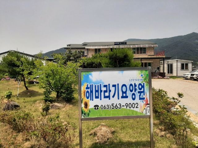 해바라기 2023-09-28