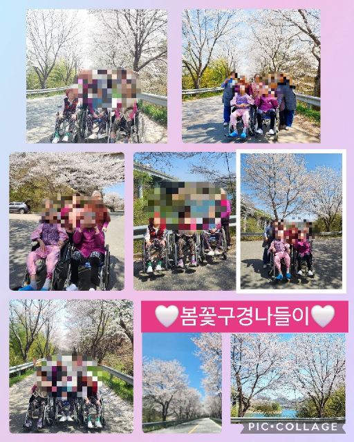 명석노인요양공동생활가정 봄꽃구경 다녀왔어요