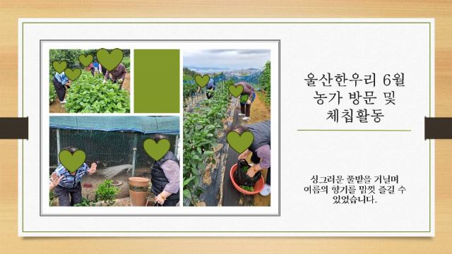 울산한우리노인복지시설 2026-06-24
