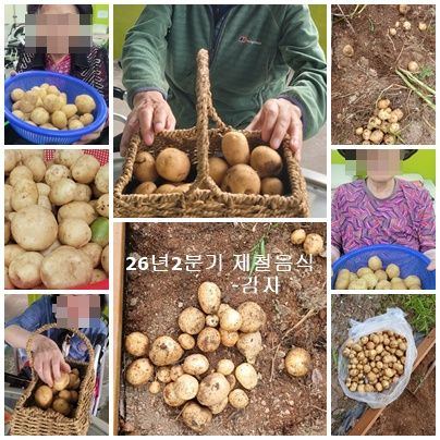 실버릿지판교 2026-06-30