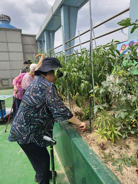 수원 행복한동행 주간보호센터 2026-07-09