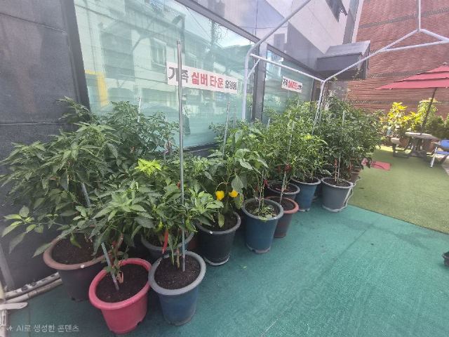 가족실버타운 2026-07-30
