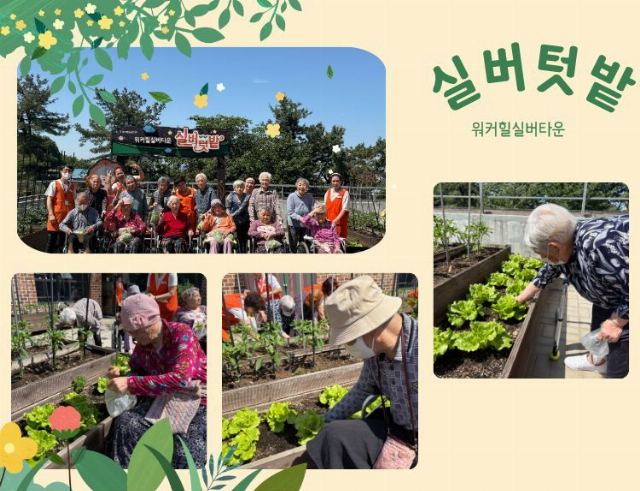 워커힐실버타운 2026년 5월 실버텃밭