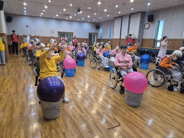 대전보훈요양원 요가볼드럼