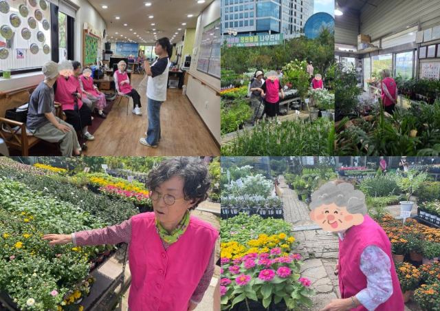 용산데이케어센터 2026-08-27