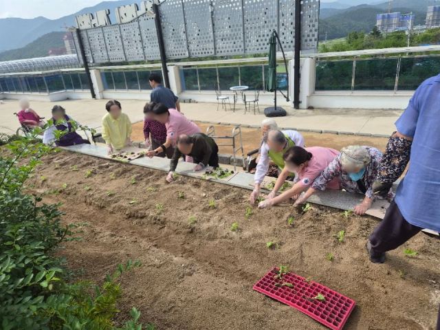 내부모요양재활타운 2026-09-08