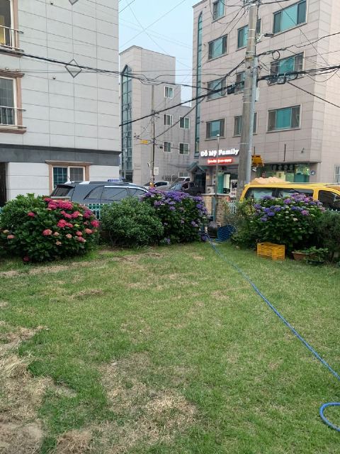 정드림재가주간보호센터 2023-08-22