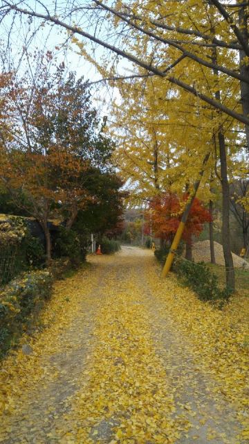 은성요양원 2022-01-26