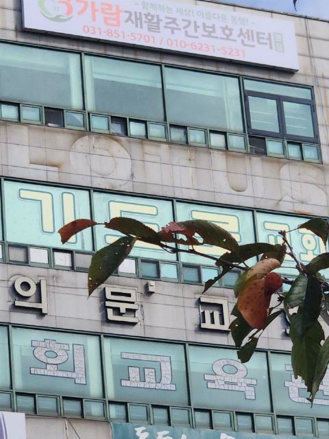 가람재활주간보호센터(본점) 2026-10-20