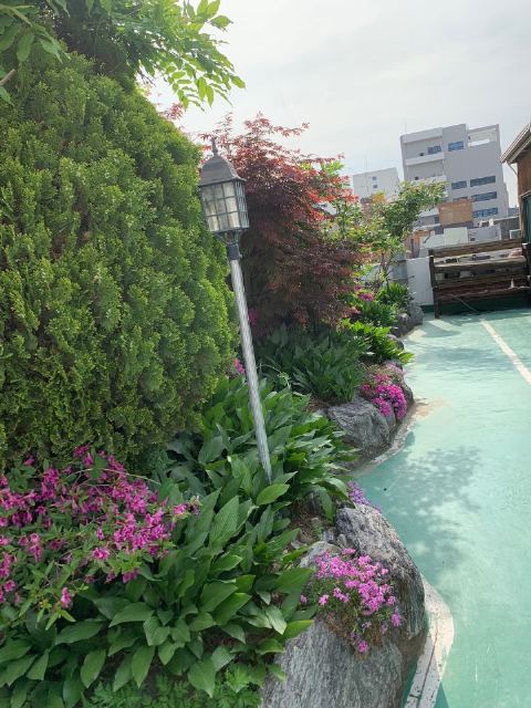 가족사랑요양원 2024-06-18