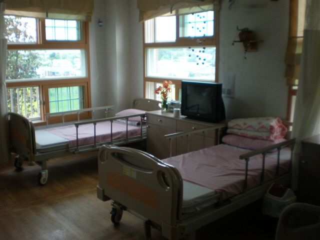 풀꽃세상 2008-07-30