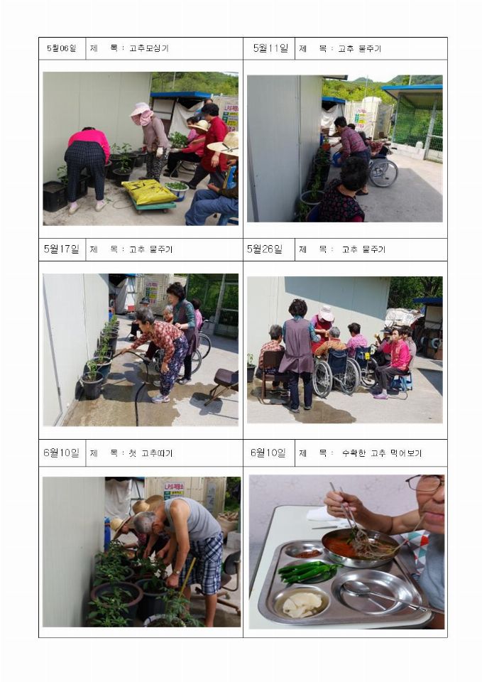 베다니나눔의집 (프로그램) 채소가꾸기 ②