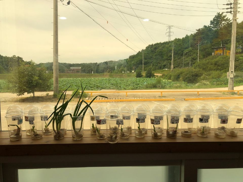 느티나무 주,야간보호센터 특화프로그램
