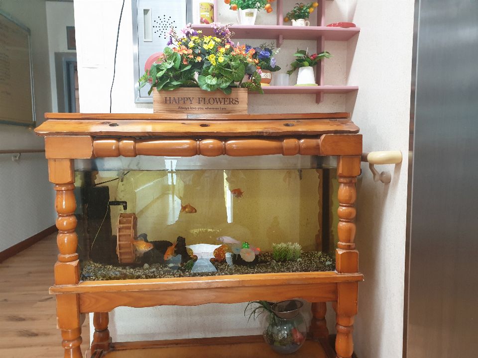 온누리행복한집 2021-07-08