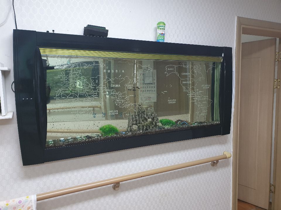온누리행복한집 2021-07-08