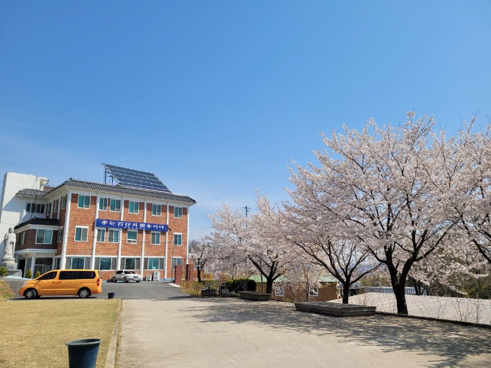 예천연꽃마을 2008-06-11