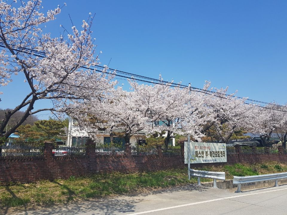 따스한 주야간 보호센터 2022-05-25