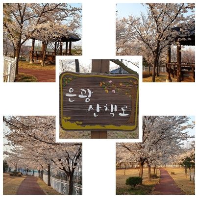 은광노인복지센터 시설 사진