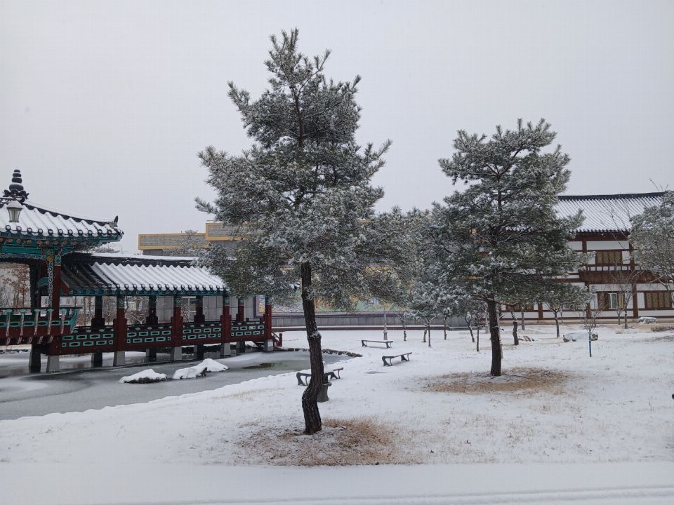 의성e행복한요양원 2025-02-12