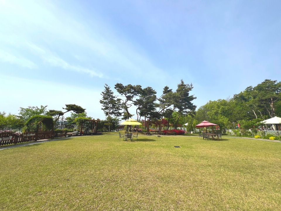 드림힐링케어 2025-05-26