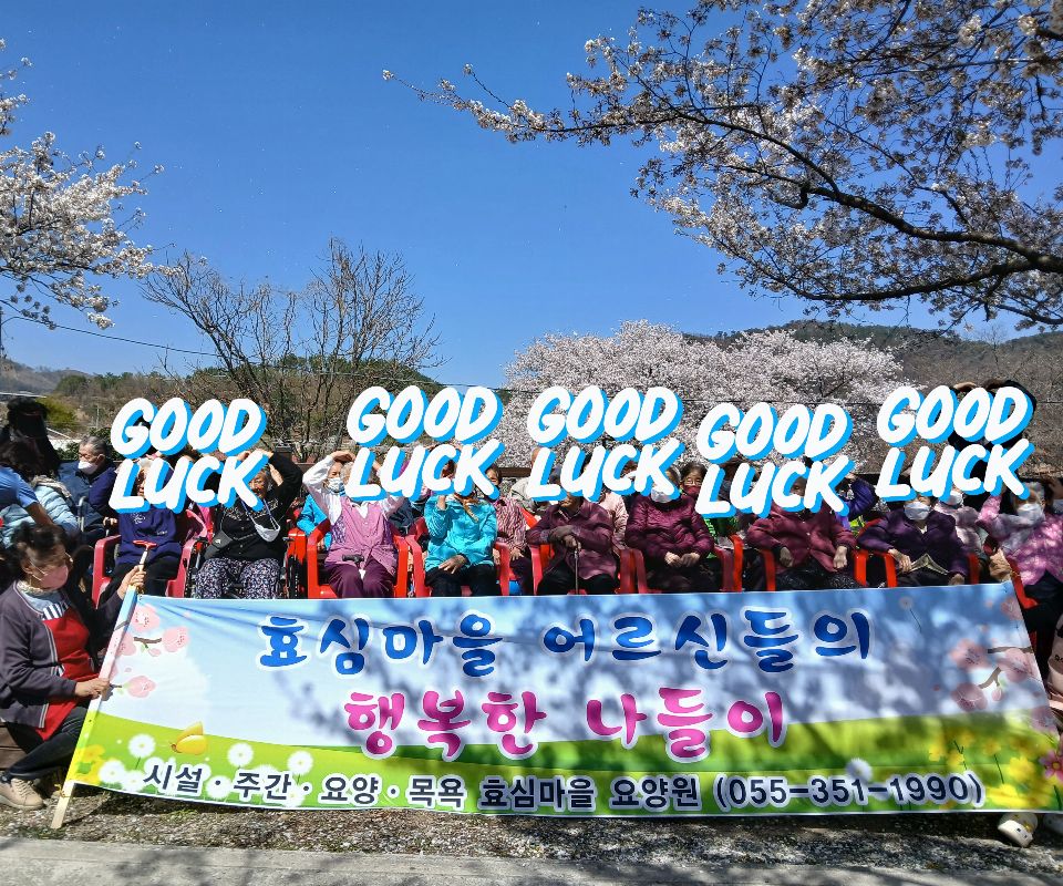 효심노인재가센터 2025-05-26