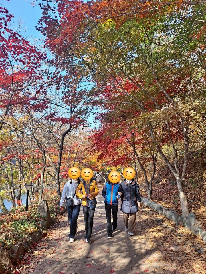개나리노인돌봄센터 2025-11-21