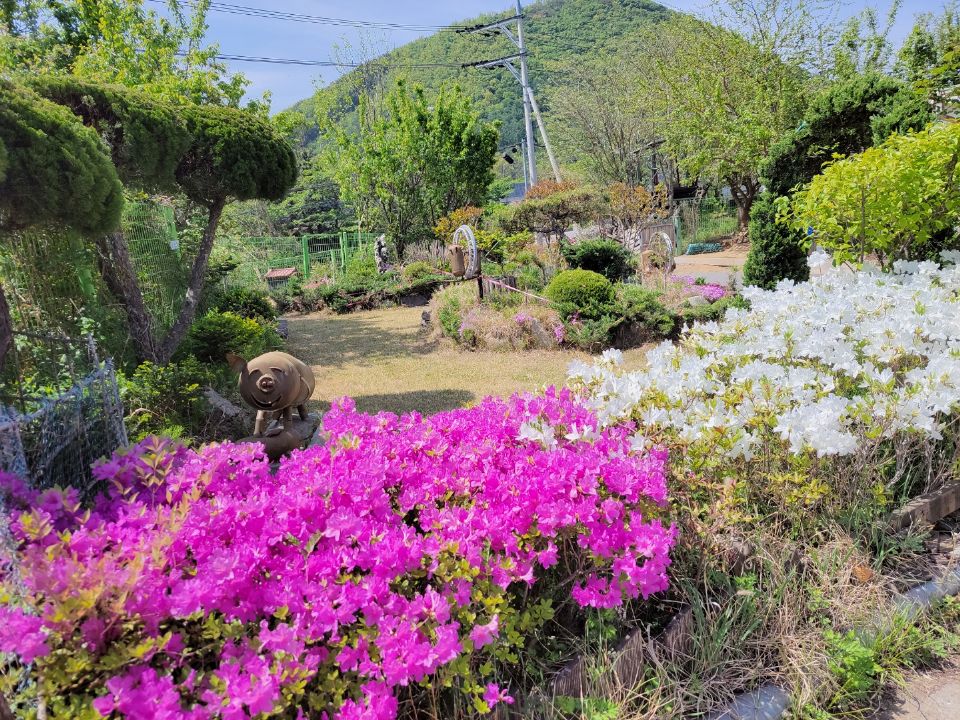 손안애 복 요양원 2022-04-25