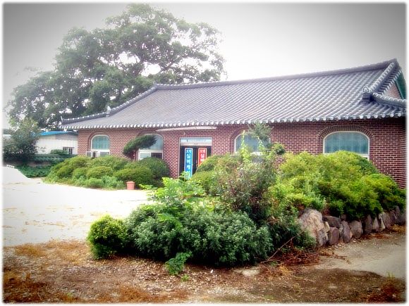 로댐실버케어 2011-08-02