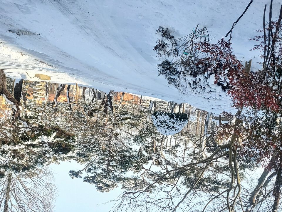 고창원광참살이요양원 2026-01-22