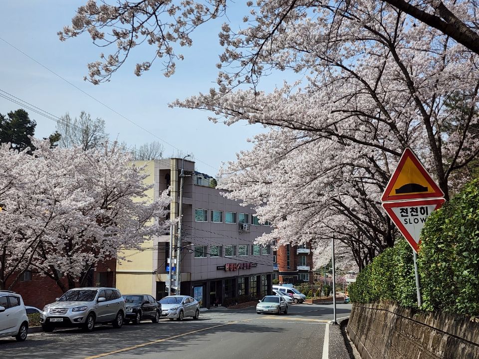 경산시니어재가장기요양기관 2025-09-08