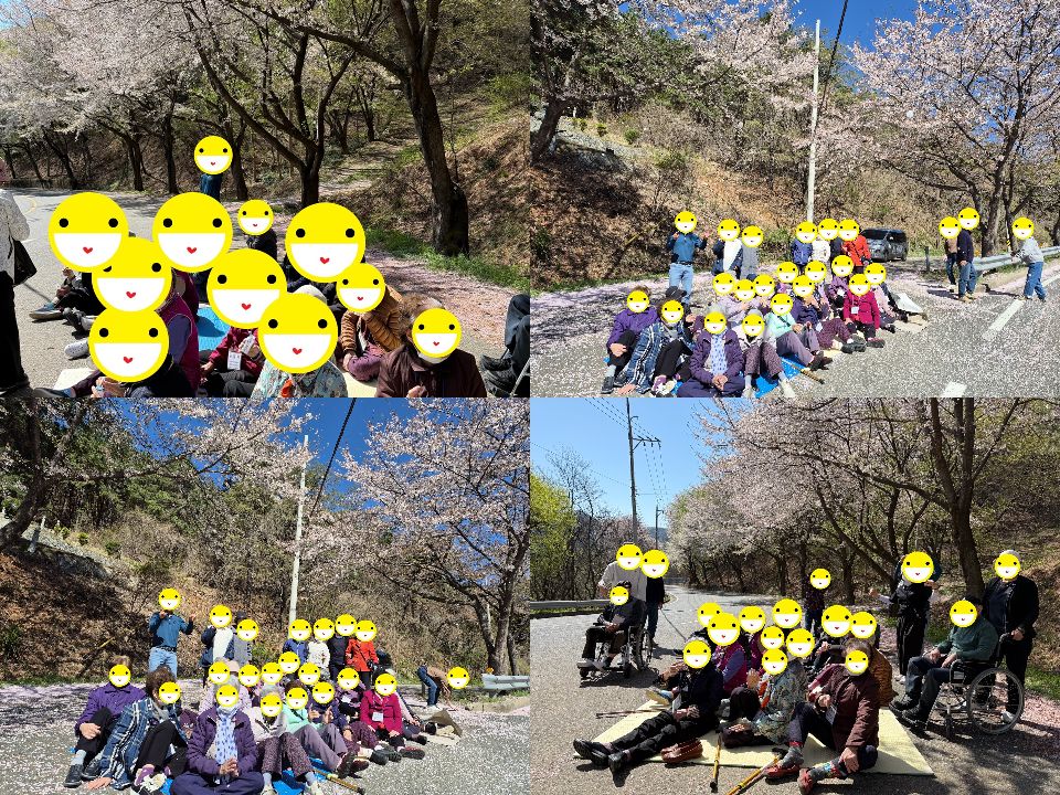 가나안주간보호센터 26년 4월 봄나들이 사진 ...