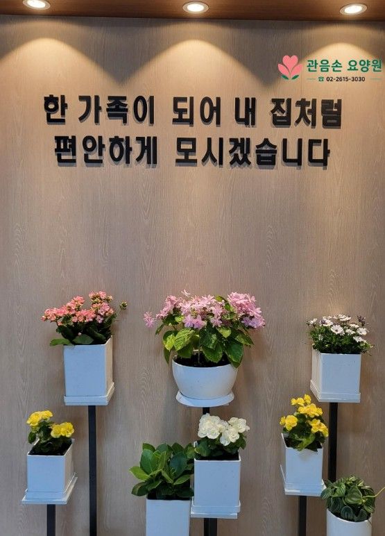 관음손 요양원 2026-05-04