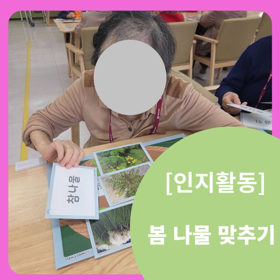 대교뉴이프 데이케어센터 송파센터 2026-06-04
