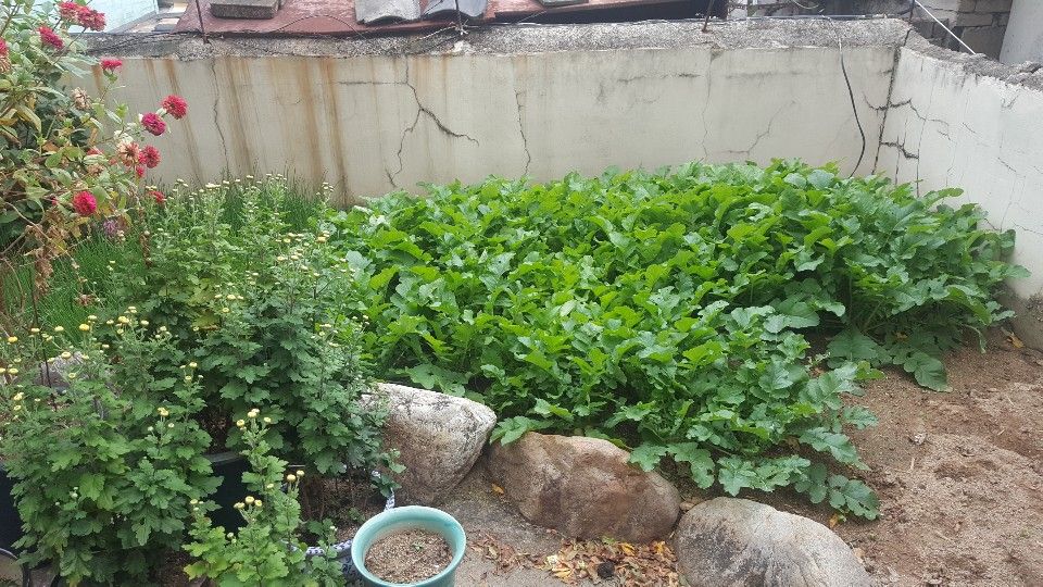 광제노인요양센터 시설 사진