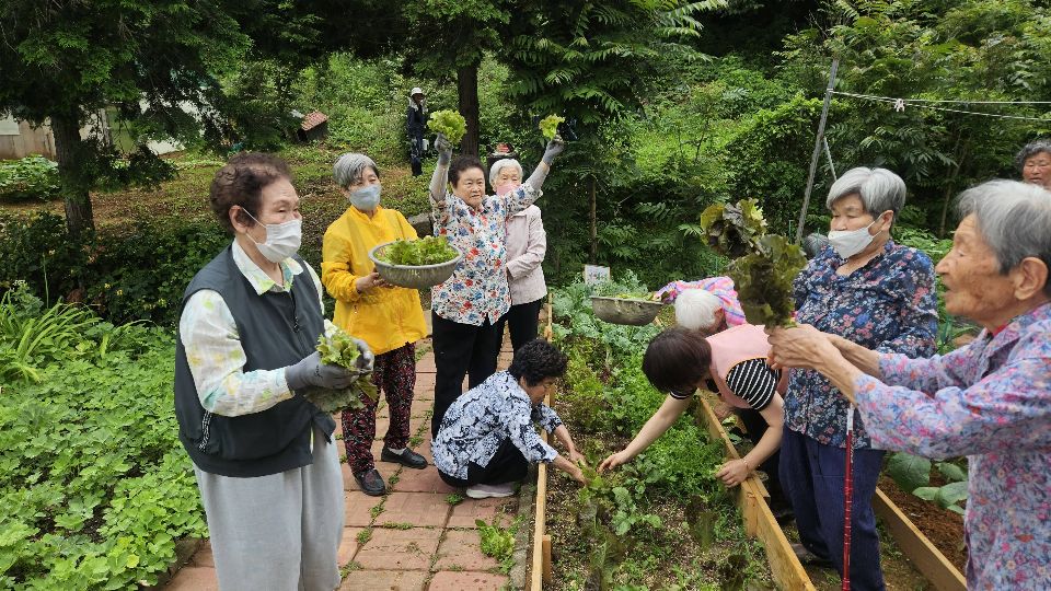 동진소규모노인종합센터 2026-07-06