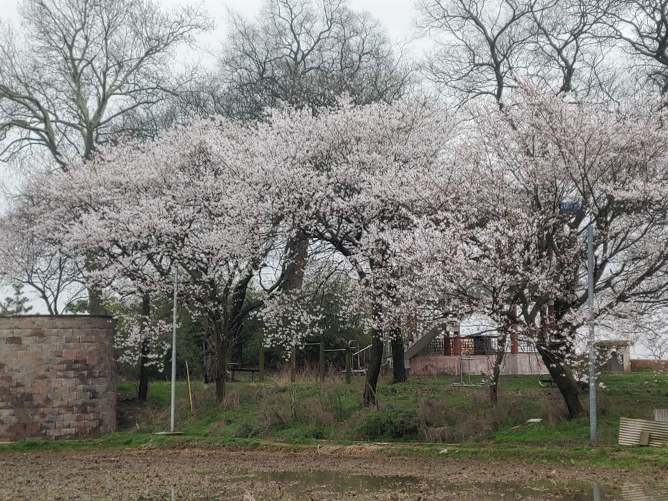 사랑인노인복지센터 2020-02-20
