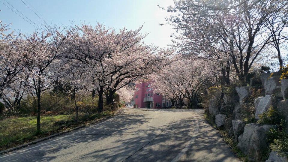 비룡노인전문요양원 2025-02-14