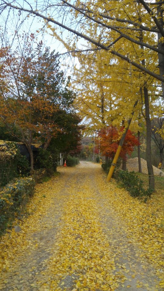 은성요양원 2022-01-26