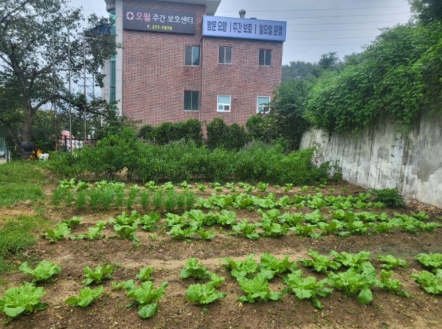 오월주간보호센터 2026-03-26