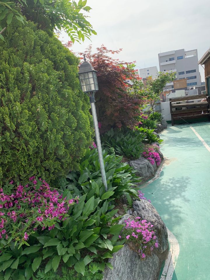 가족사랑요양원 2024-06-18