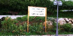 느티나무복지센터 사진