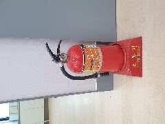 푸른데이케어 사진