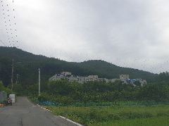 울산노인주간보호센터 사진