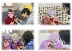 해피안 사진