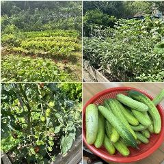 선양시니어빌리지 사진