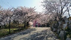 비룡노인전문요양원 사진