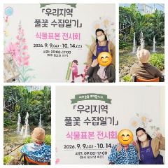 전남성노원 사진
